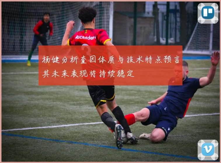 杨健分析奎因体质与技术特点预言其未来表现将持续稳定